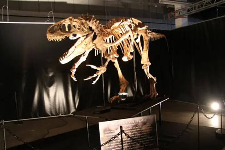 Exemple de scénographie pour exposition