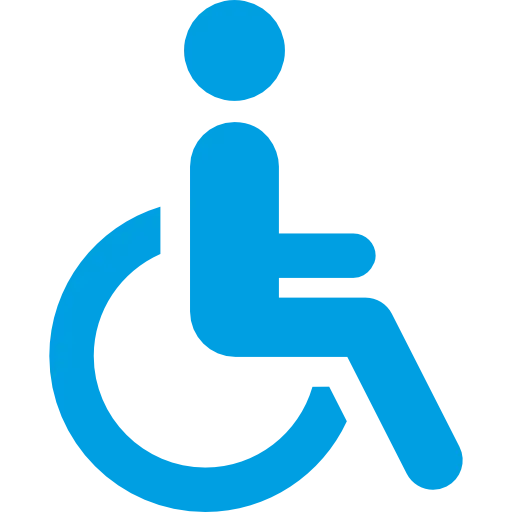 disabled-icon