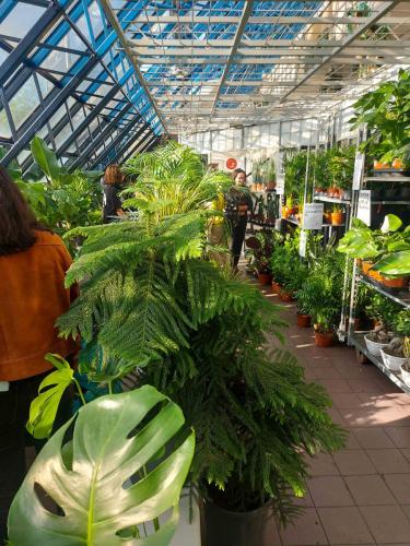 Vente de fleurs - Espace Club'M