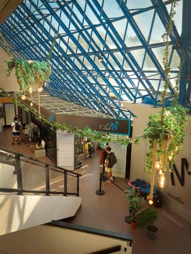 Vente de fleurs - Espace Club'M